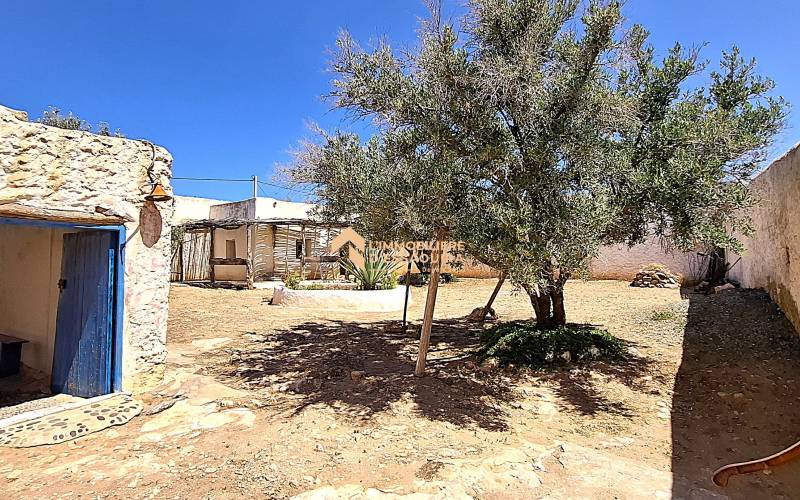 Bergerie Id Amer (12)